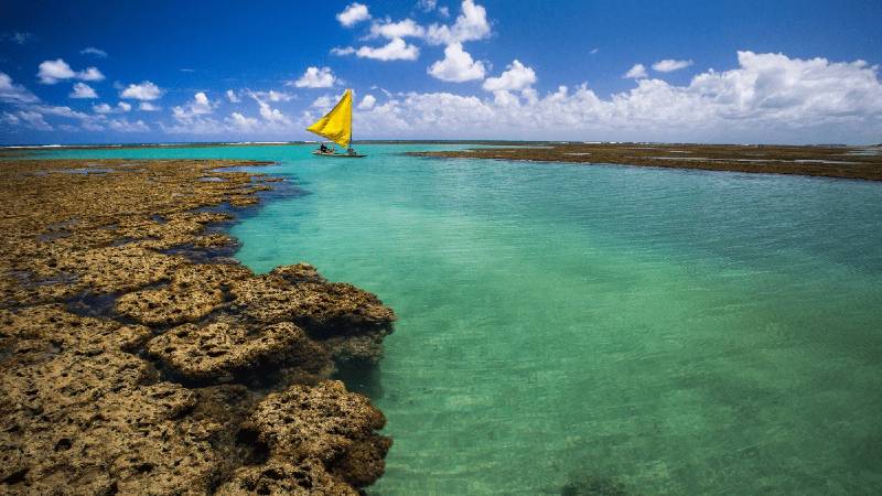 O que fazer em Porto de Galinhas O que fazer em Porto de Galinhas